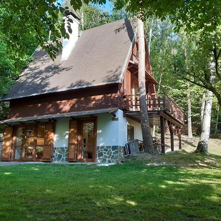 Holiday Home Zajicovi Rabyne Εξωτερικό φωτογραφία
